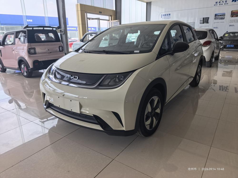 BYD Dolphin