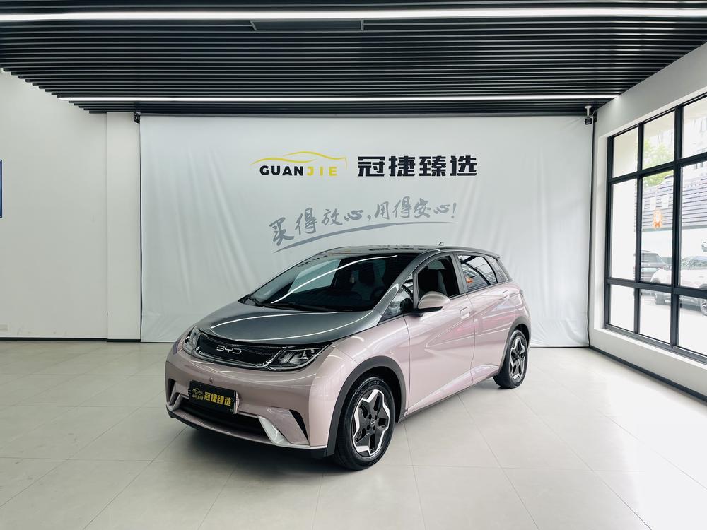 BYD Dolphin