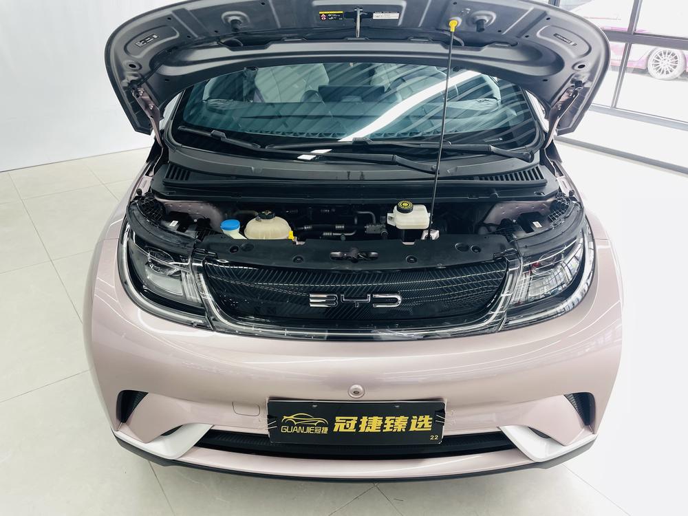 BYD Dolphin