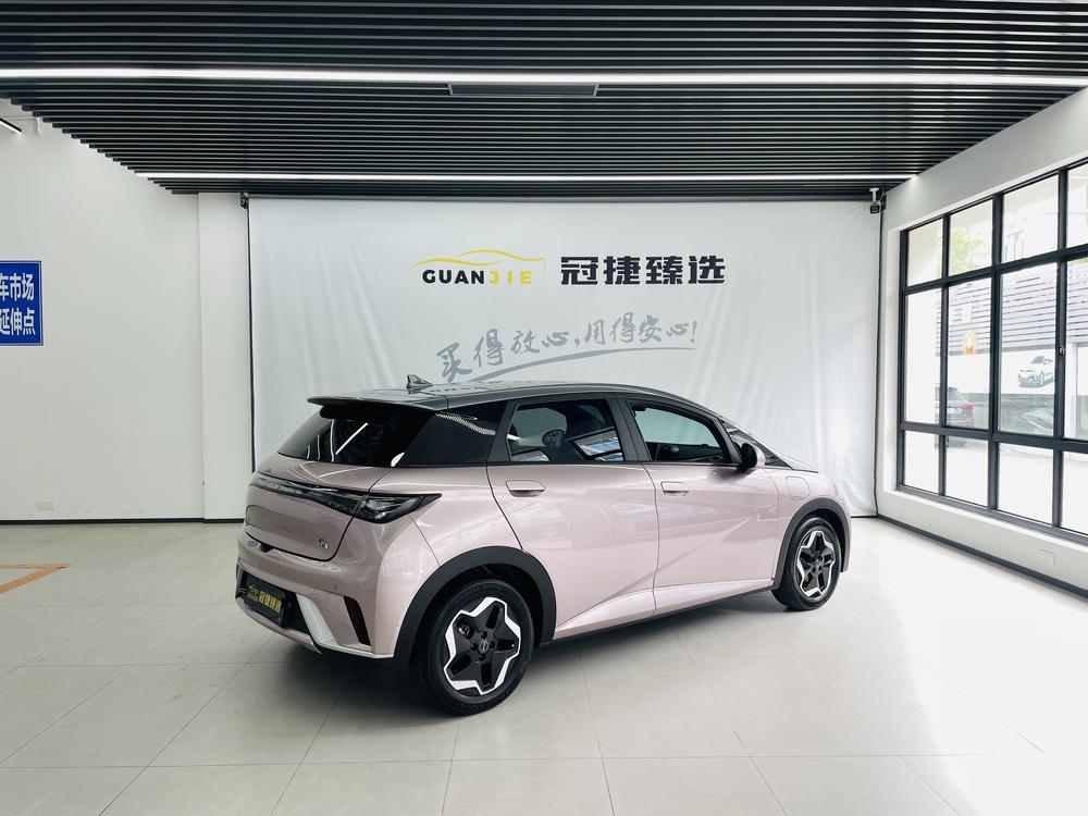 BYD Dolphin