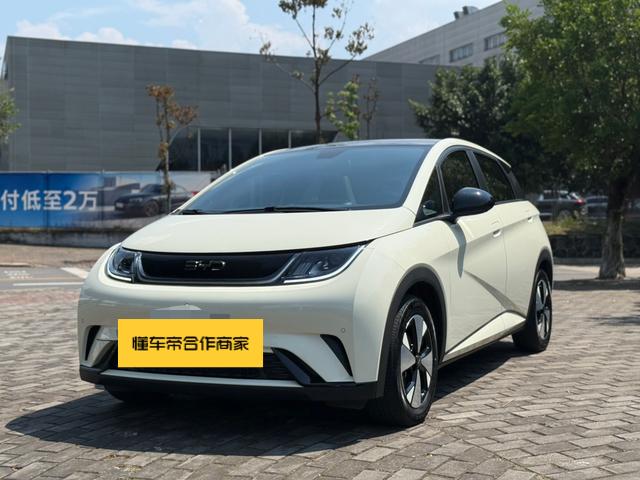 BYD Dolphin