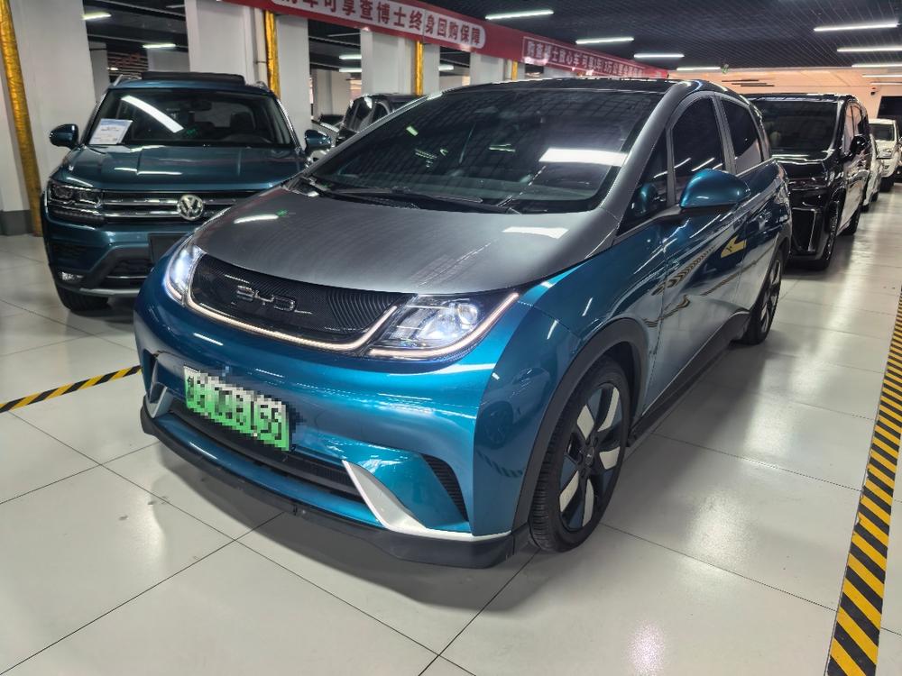 BYD Dolphin