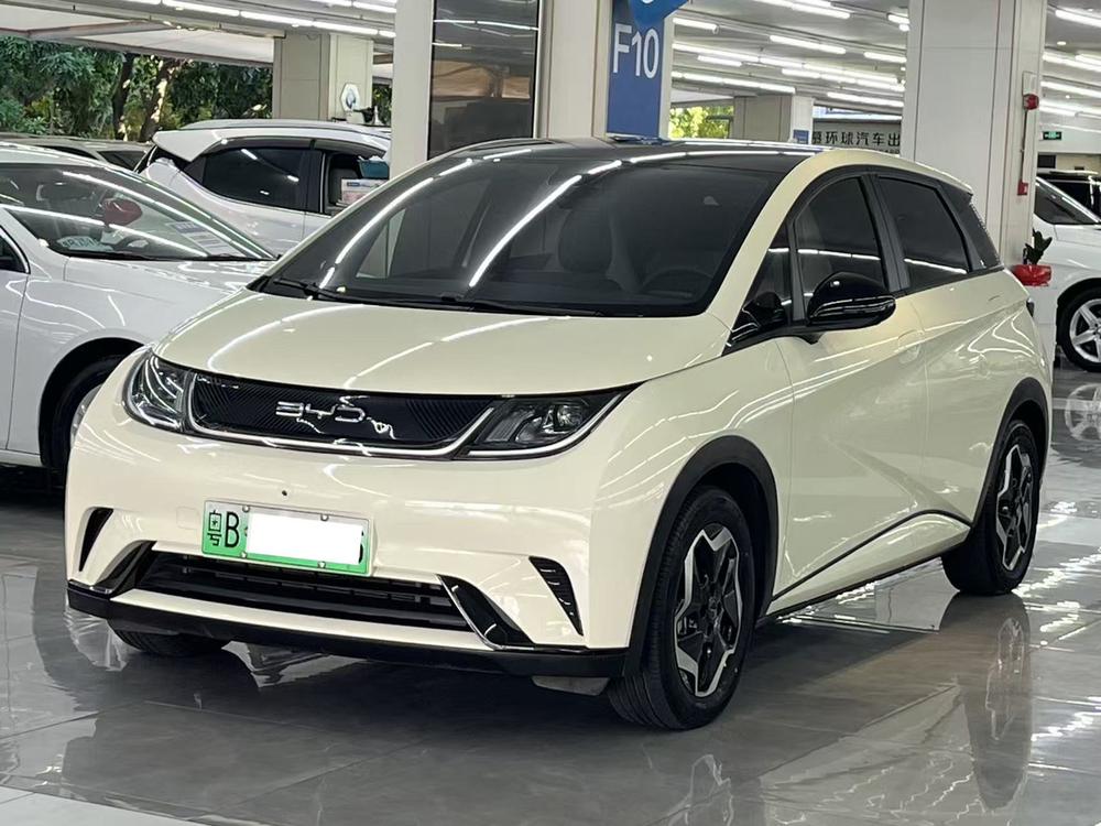 BYD Dolphin