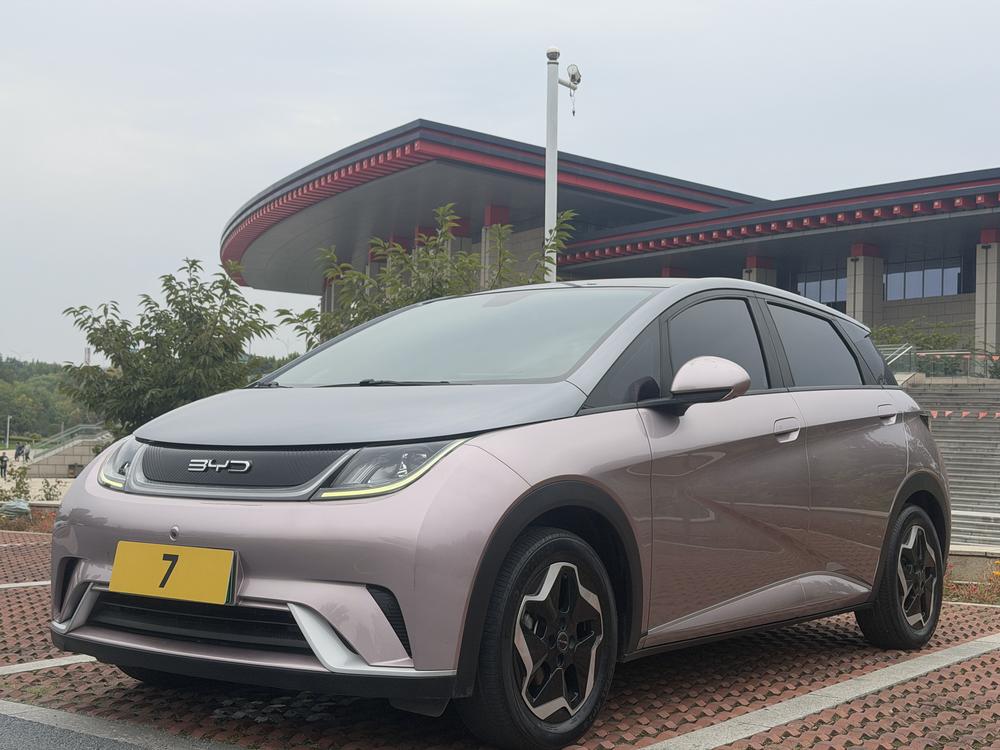 BYD Dolphin