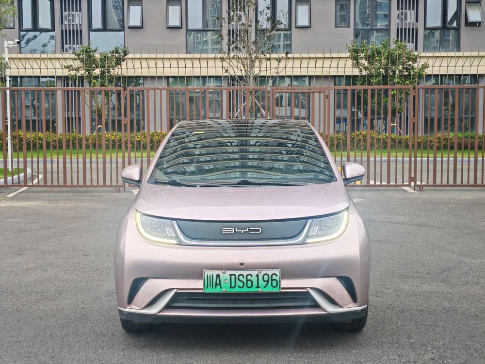 BYD Dolphin