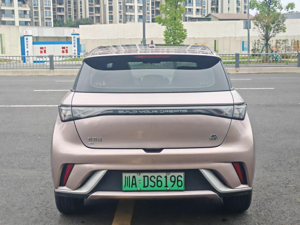 BYD Dolphin