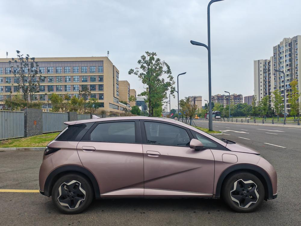 BYD Dolphin