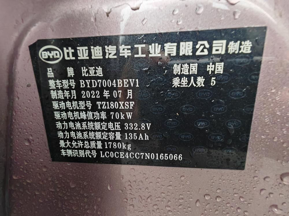 BYD Dolphin