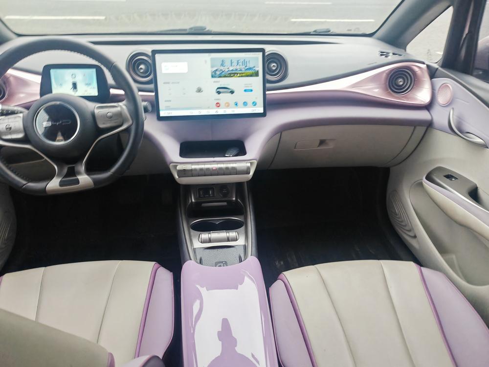 BYD Dolphin