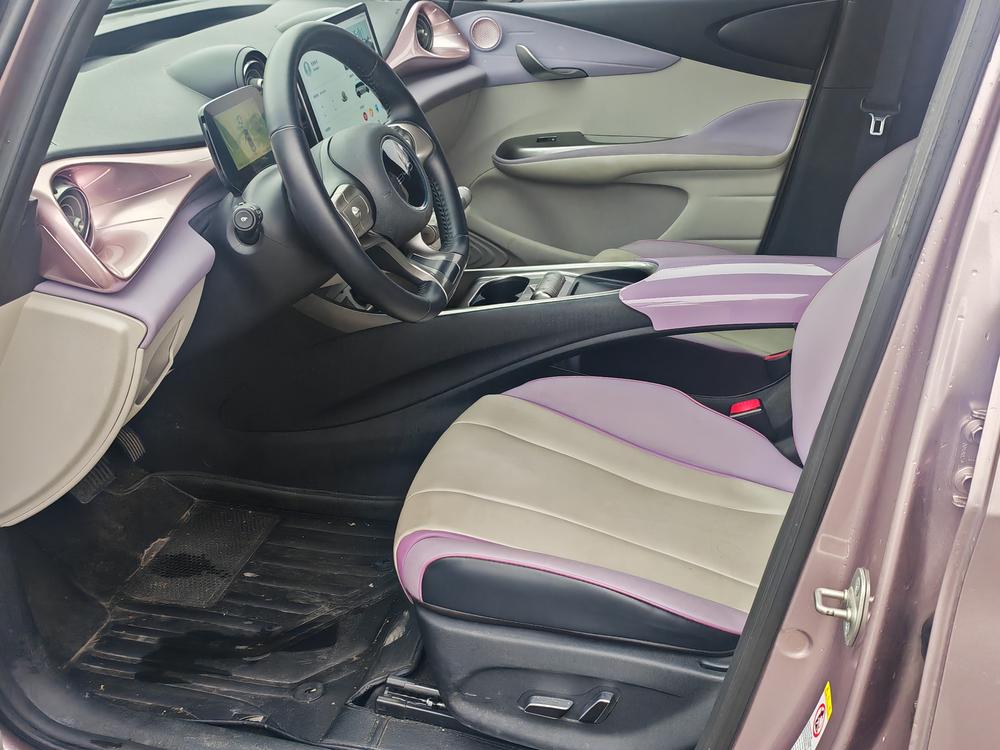 BYD Dolphin