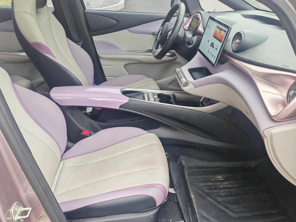 BYD Dolphin