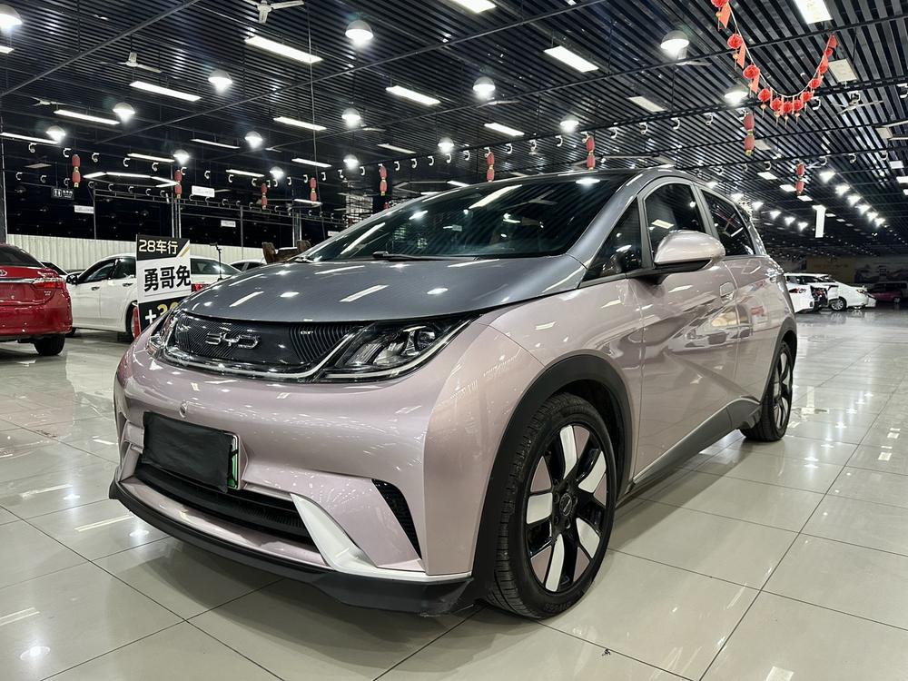 BYD Dolphin