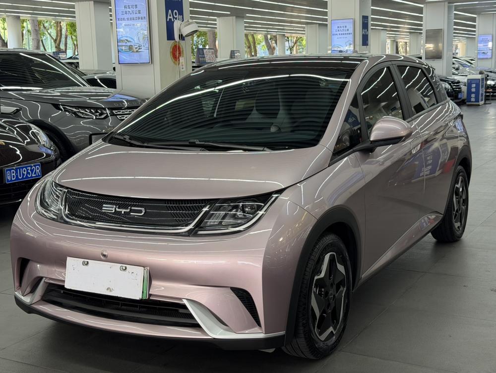 BYD Dolphin