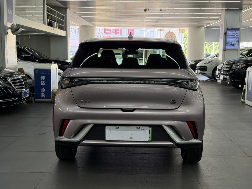 BYD Dolphin