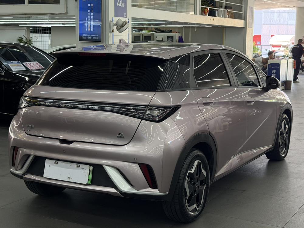 BYD Dolphin