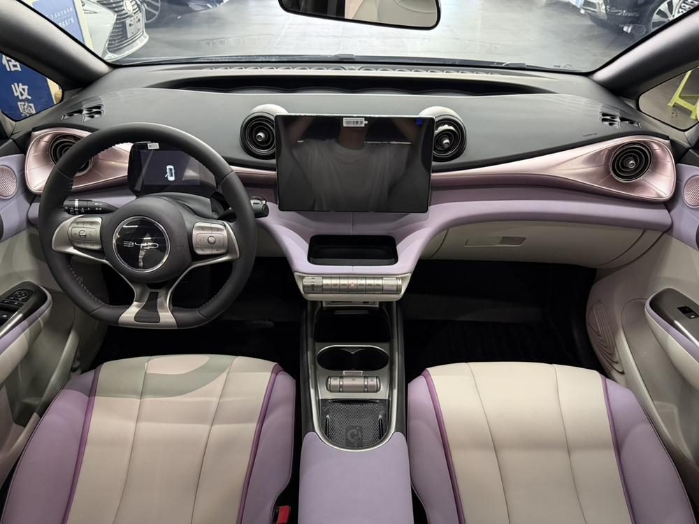 BYD Dolphin