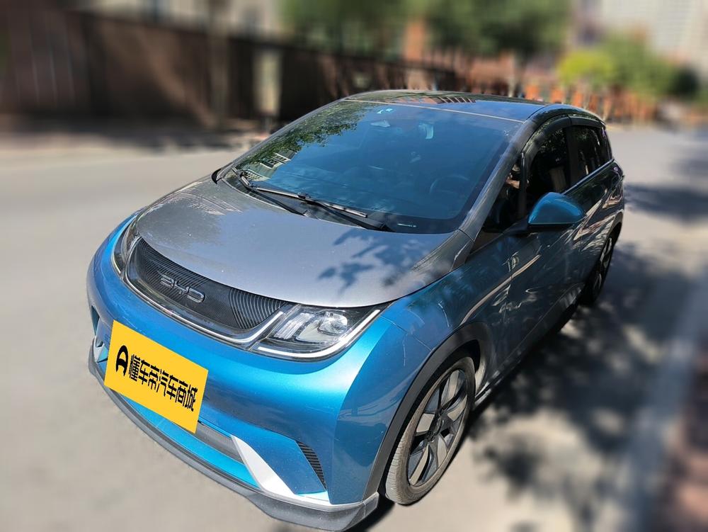 BYD Dolphin