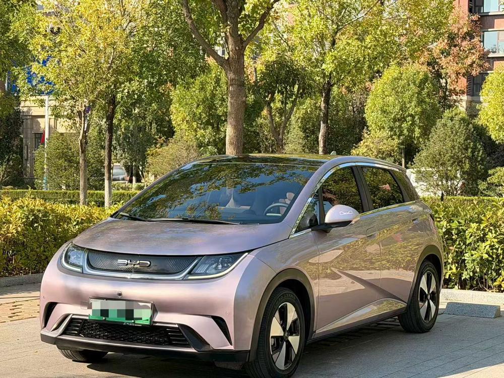 BYD Dolphin