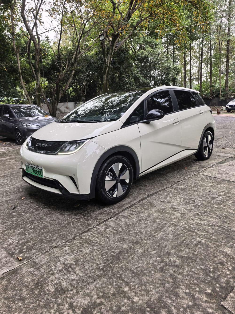 BYD Dolphin