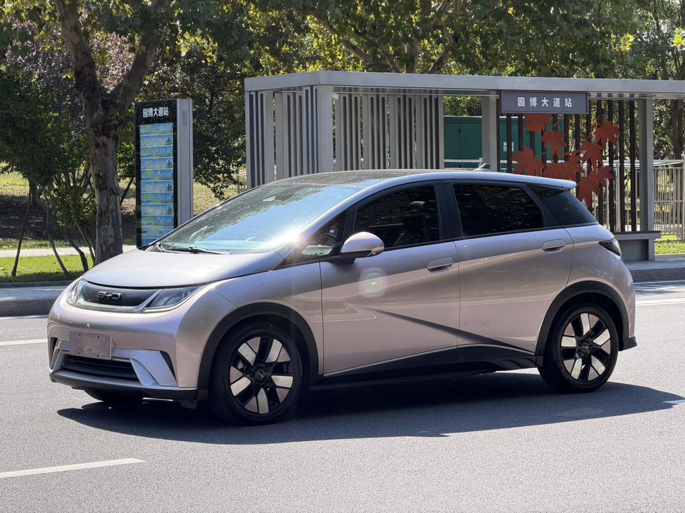 BYD Dolphin