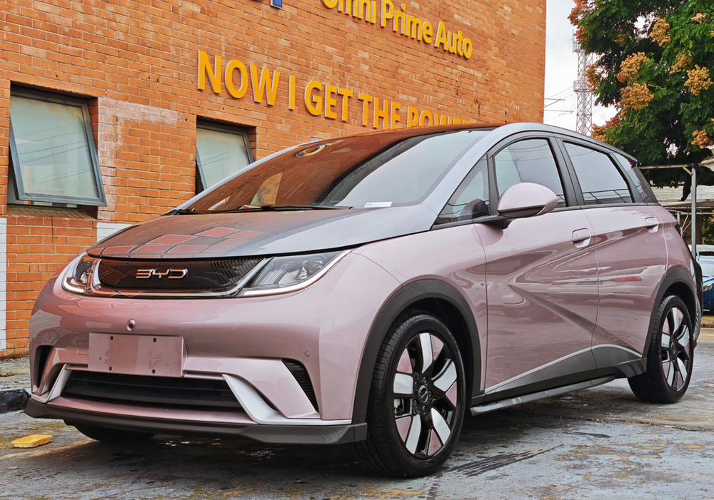 BYD Dolphin