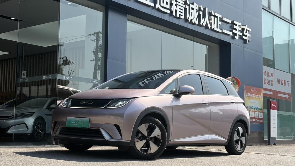BYD Dolphin