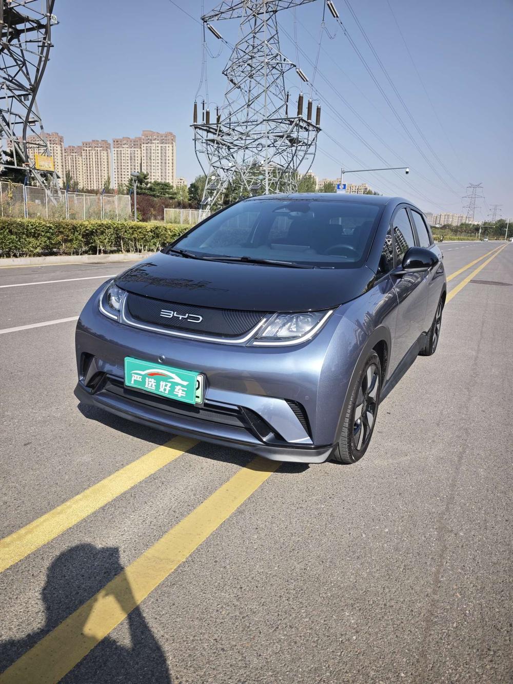 BYD Dolphin