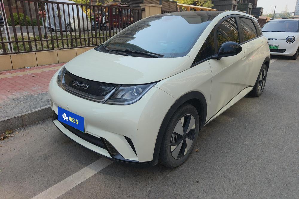 BYD Dolphin