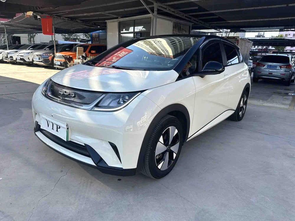 BYD Dolphin