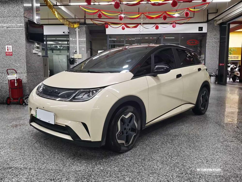 BYD Dolphin