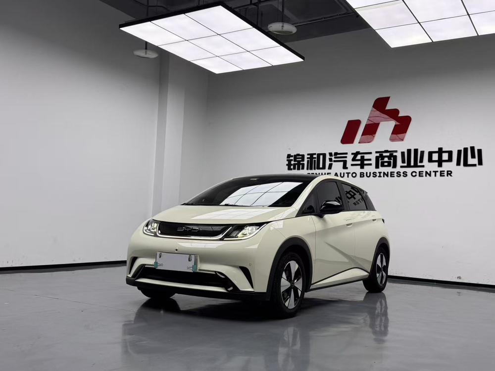 BYD Dolphin