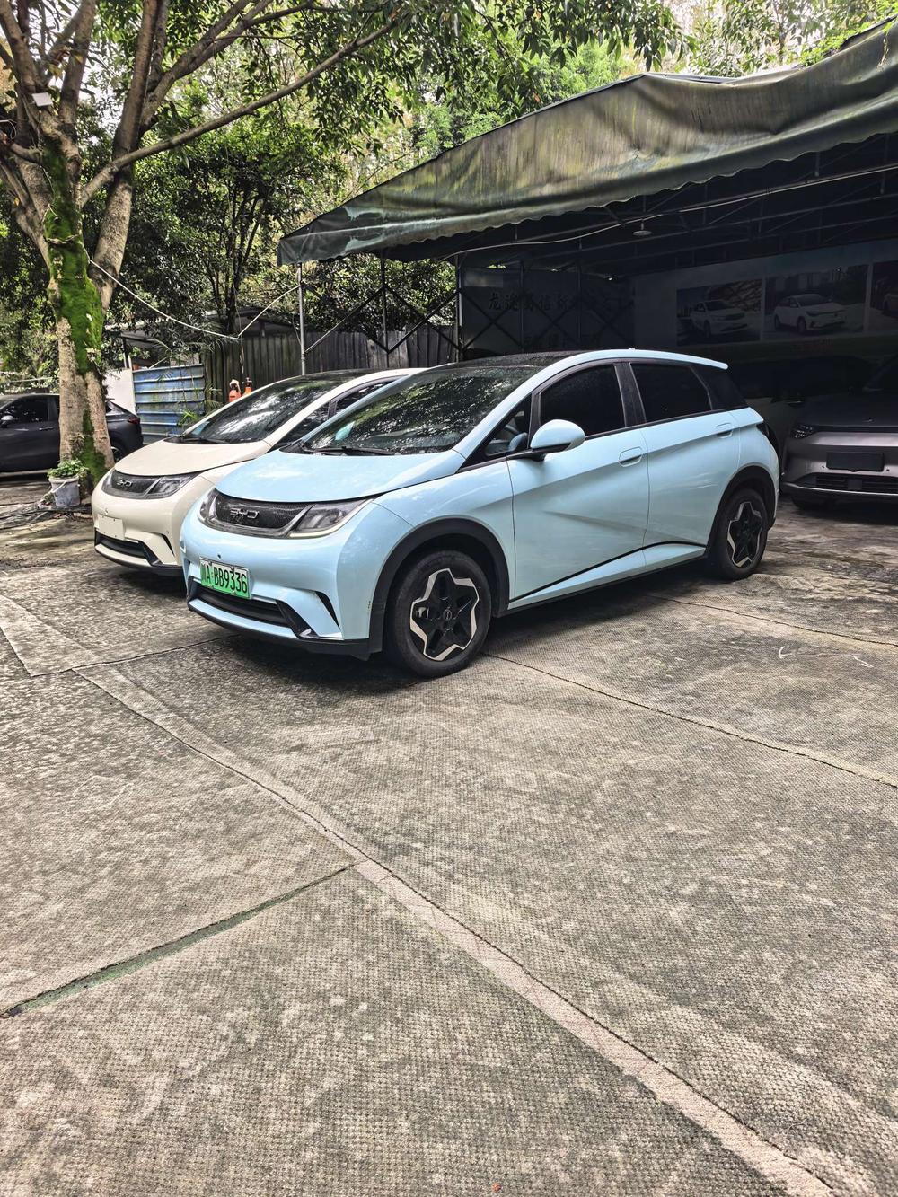 BYD Dolphin