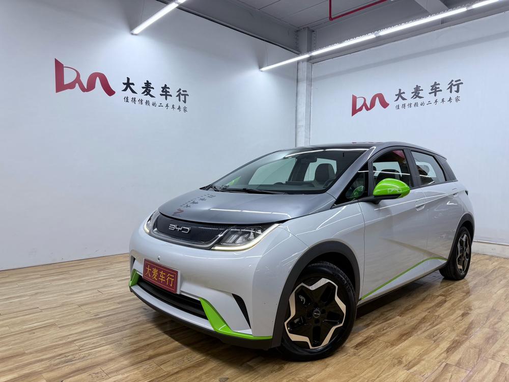 BYD Dolphin