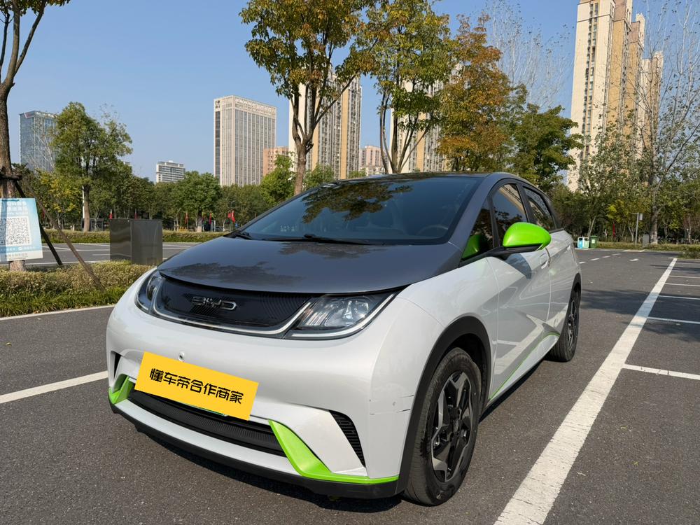 BYD Dolphin
