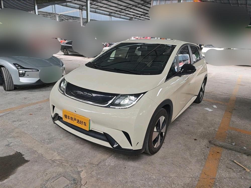 BYD Dolphin