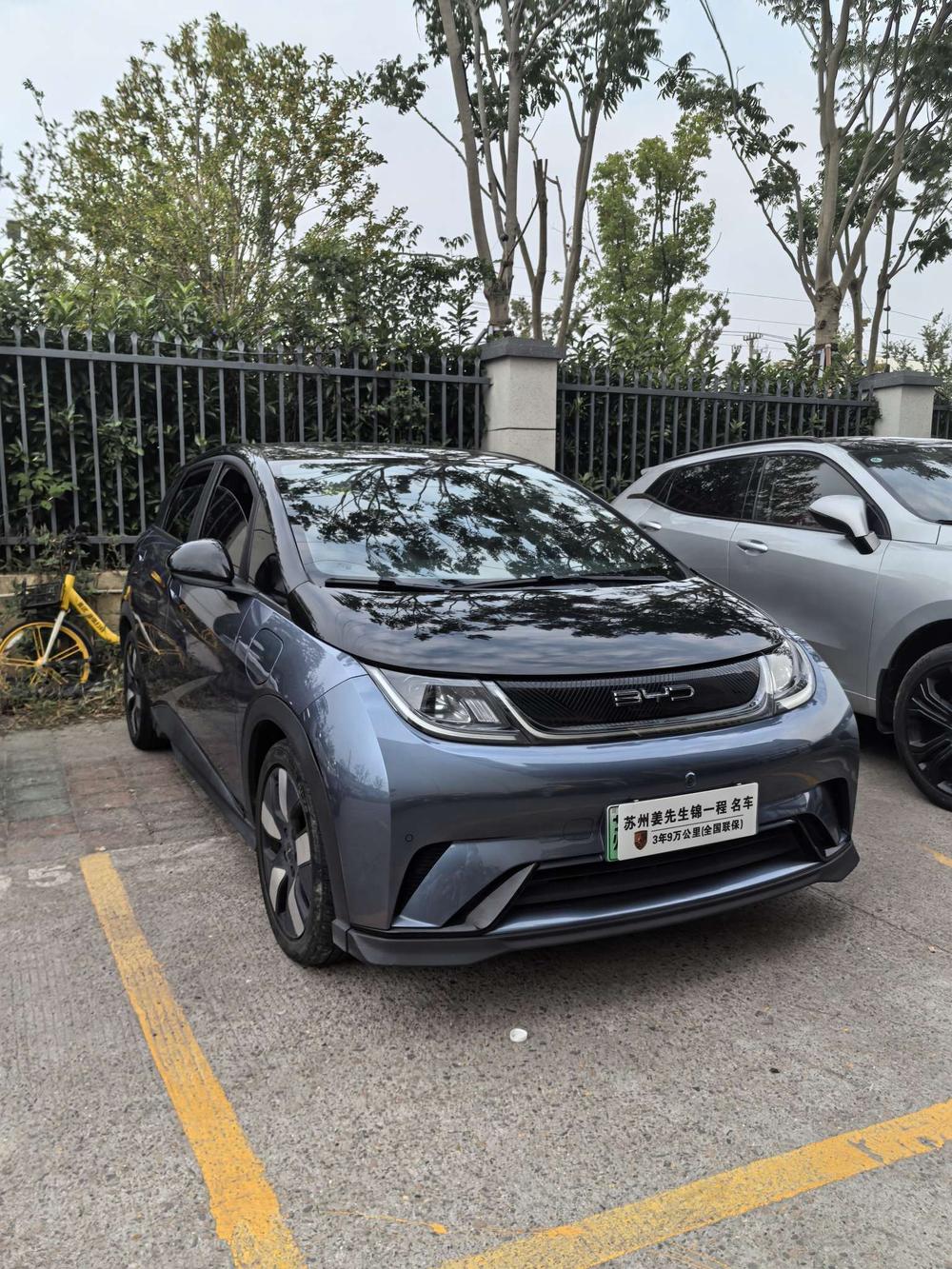 BYD Dolphin