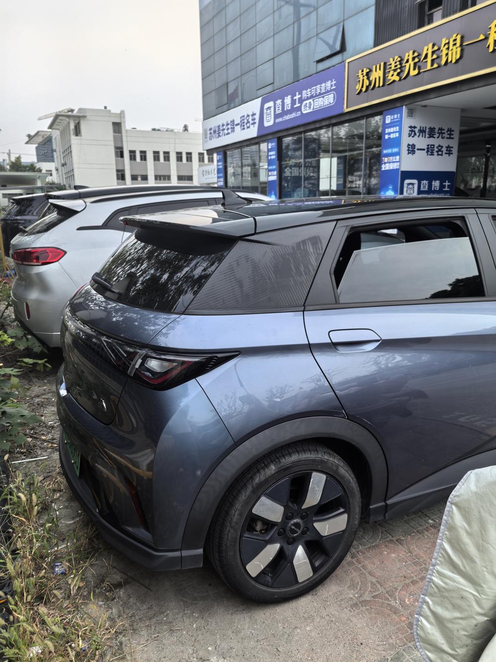BYD Dolphin