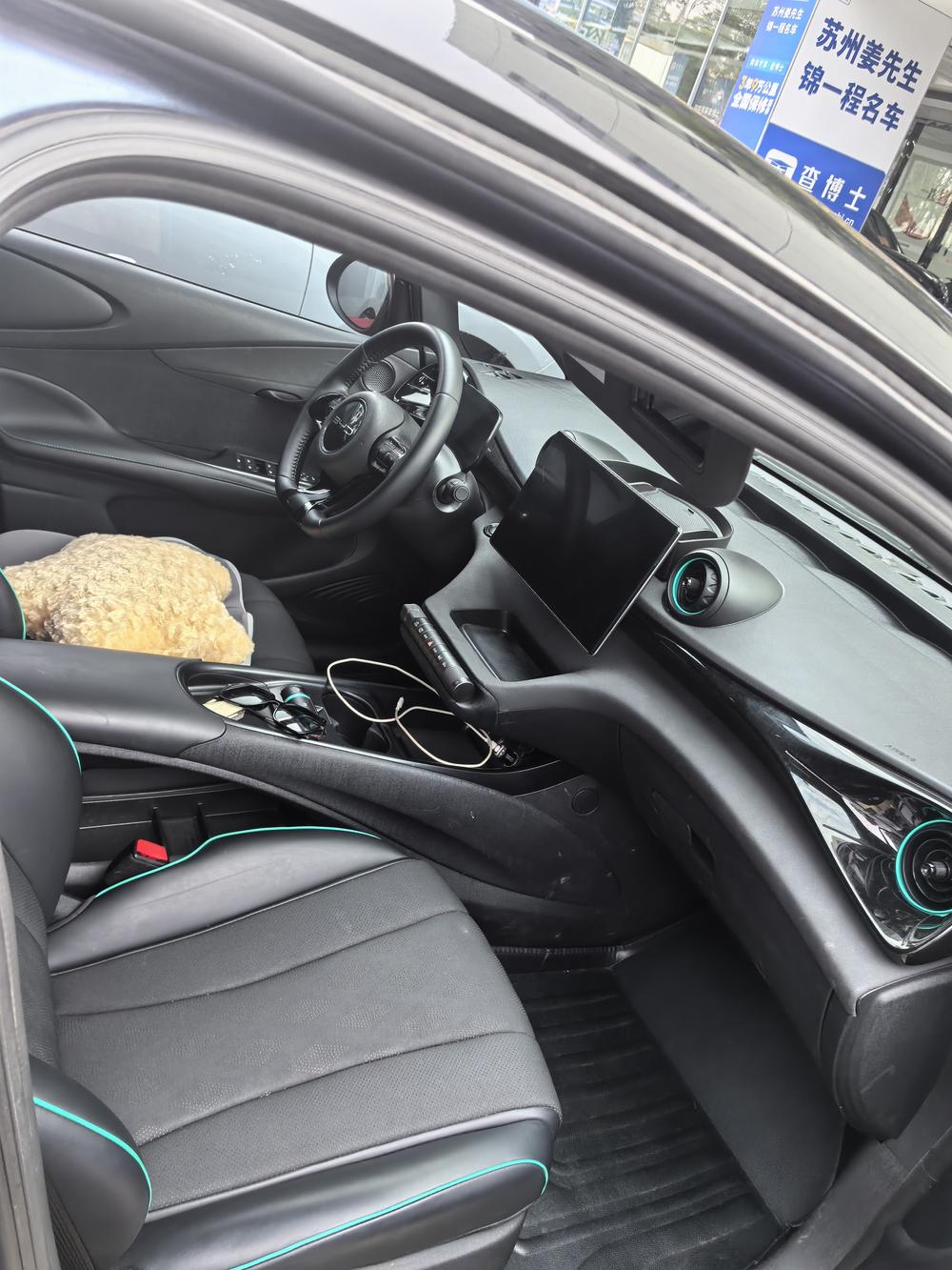 BYD Dolphin