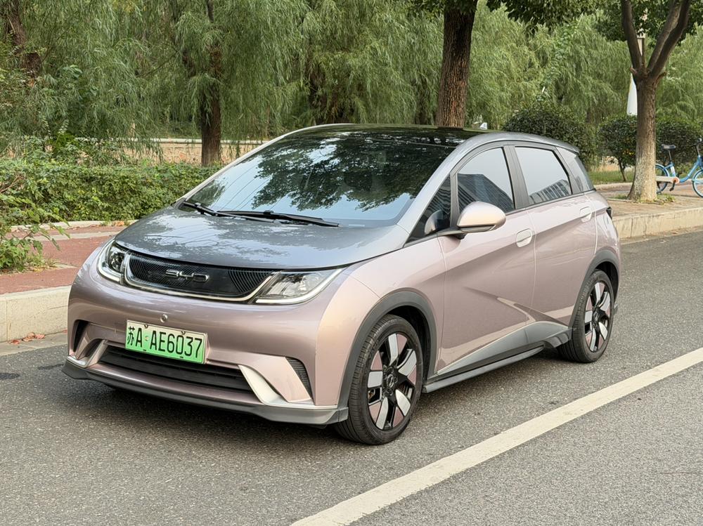 BYD Dolphin