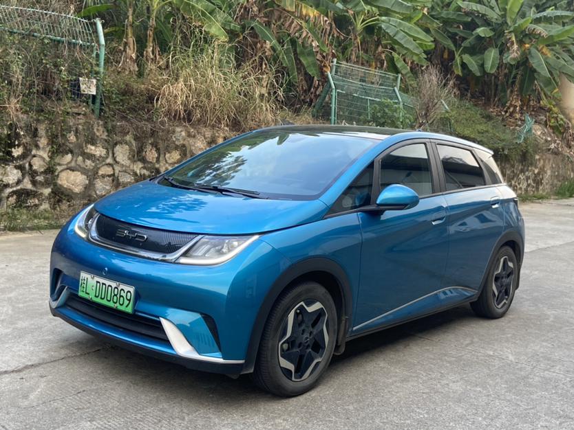 BYD Dolphin