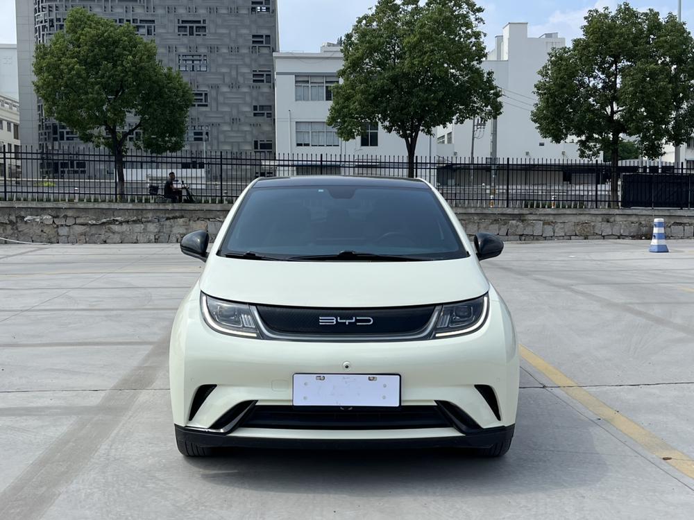 BYD Dolphin