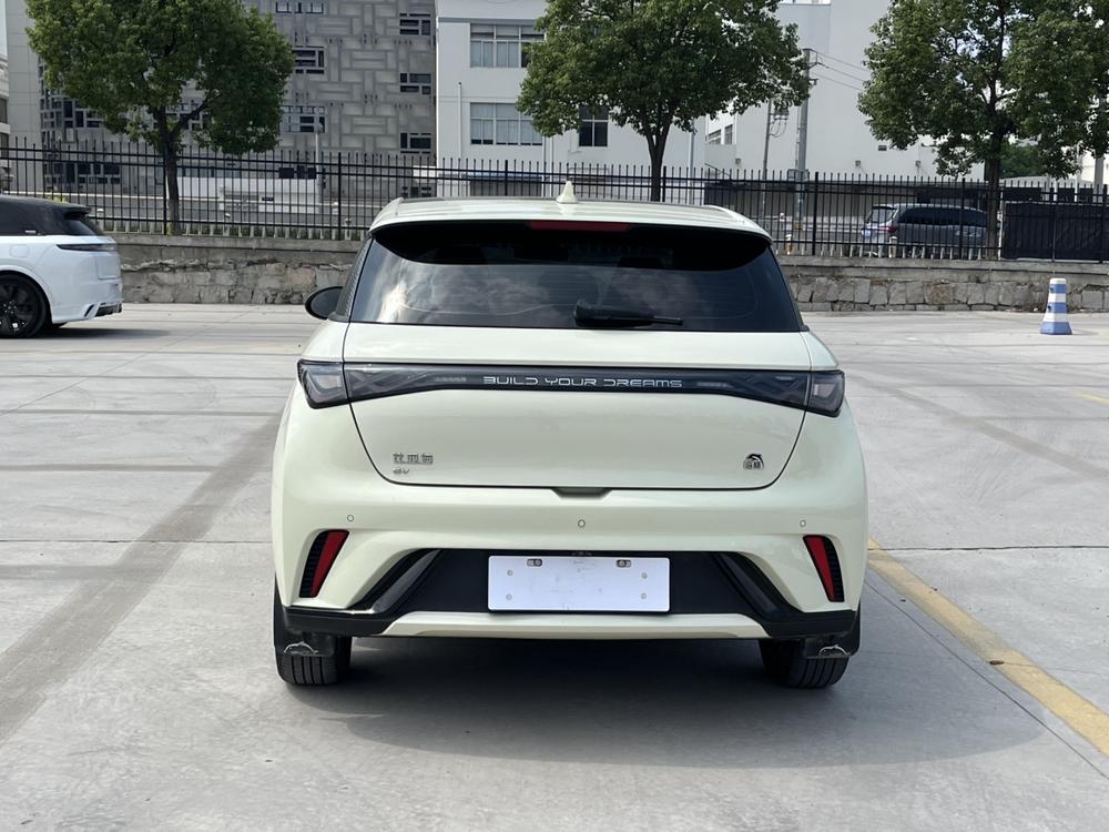 BYD Dolphin