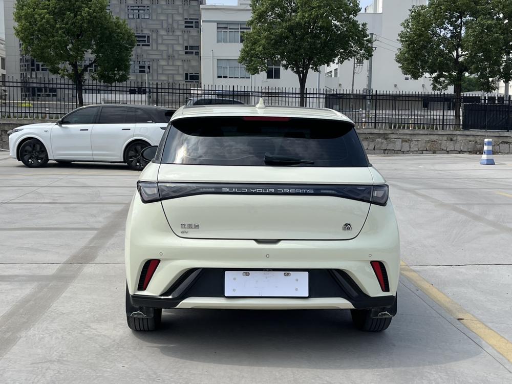 BYD Dolphin