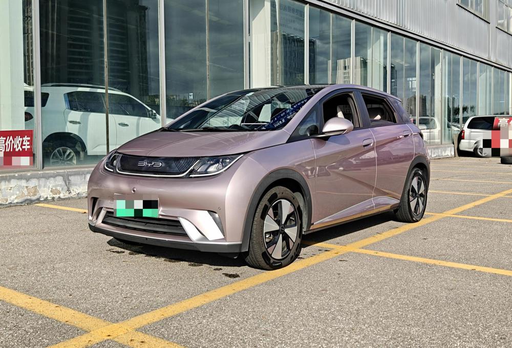 BYD Dolphin