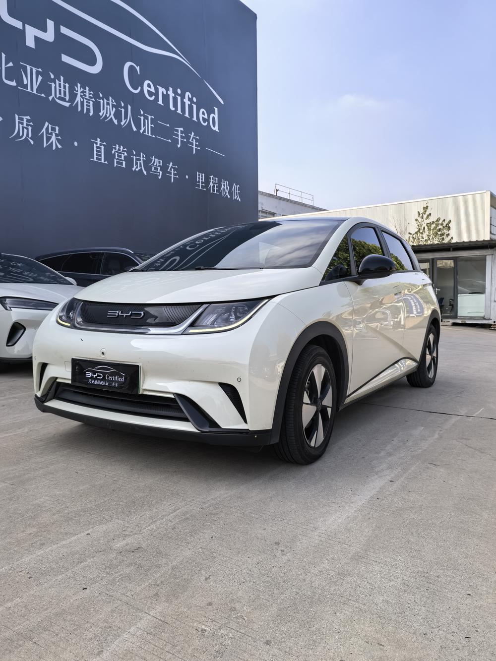 BYD Dolphin