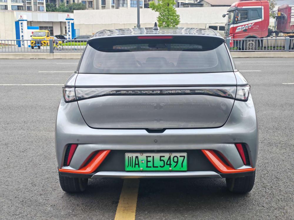 BYD Dolphin