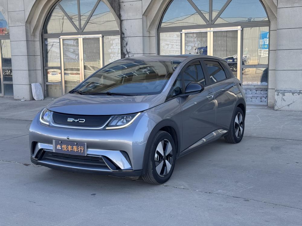 BYD Dolphin