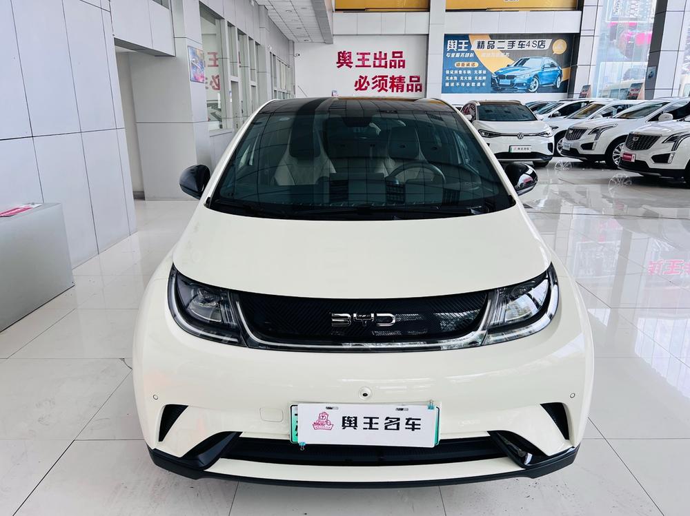BYD Dolphin