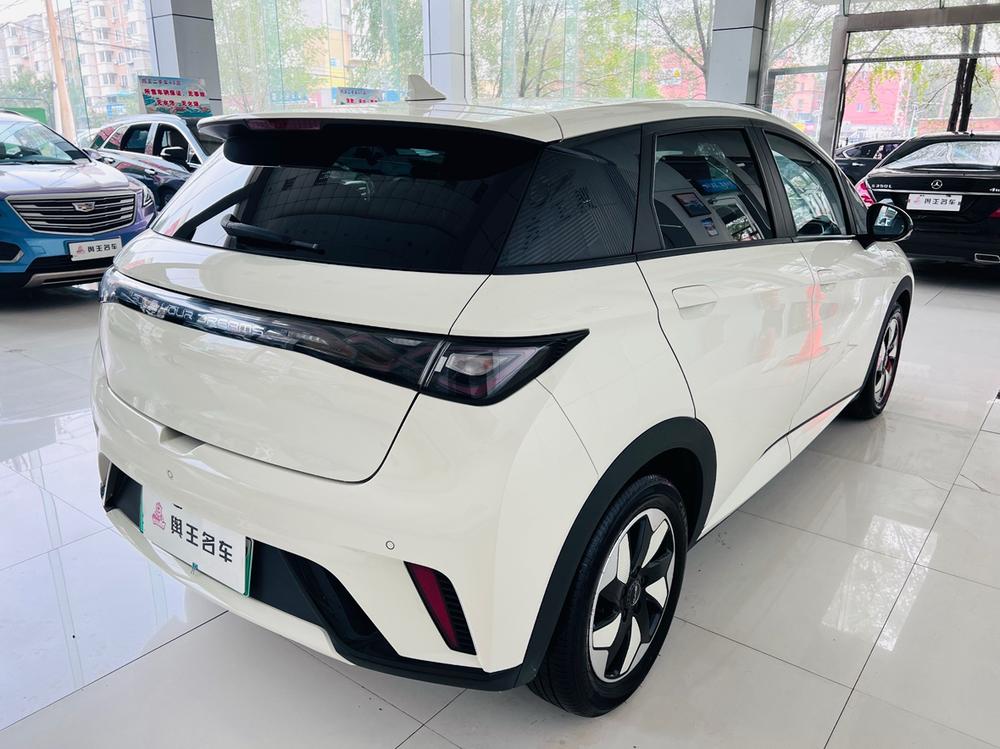 BYD Dolphin
