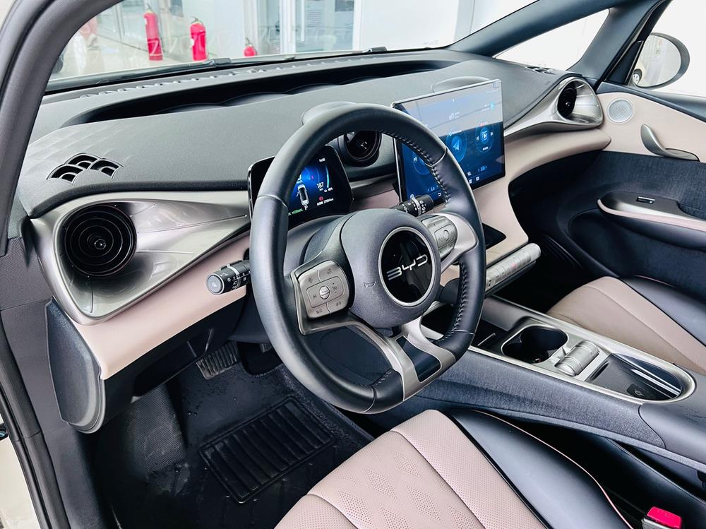 BYD Dolphin